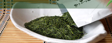 画像|おすすめ商品